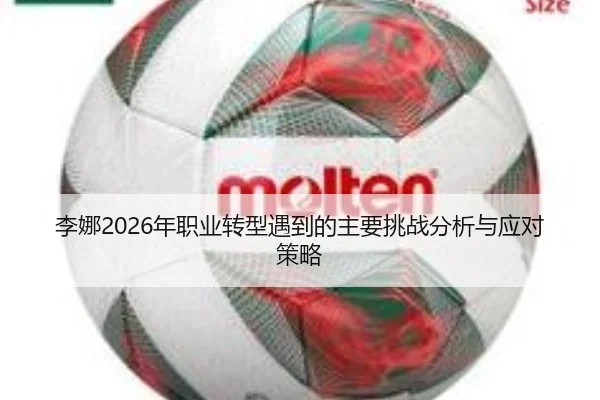 李娜2026年职业转型遇到的主要挑战分析与应对策略