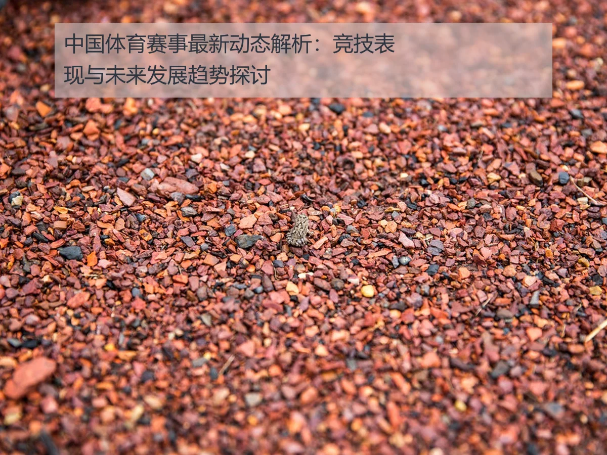 中国体育赛事最新动态解析:竞技表现与未来发展趋势探讨
